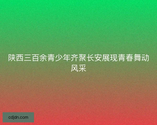 陕西三百余青少年齐聚长安展现青春舞动风采